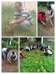 District Level Plantation Programme 2025